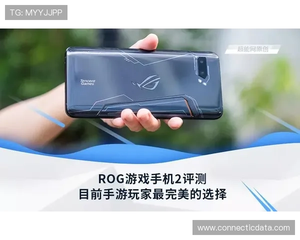 亚星国际电脑版安全性评测，保障玩家账号信息与游戏数据的安全与隐私保护